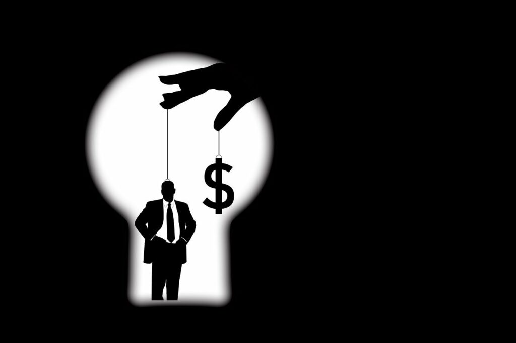 puppet, education, person