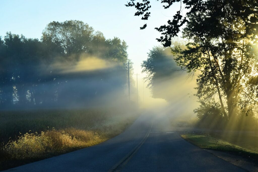 the sun shines through the fog on a country road