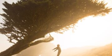 silhouette of person jumping under tree