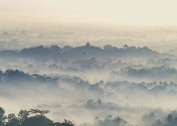 mountain covered by fog